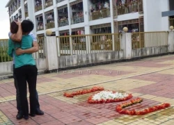 Tỏ tình bằng hoa gạo gây náo loạn chung cư