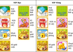 VDC Net2E nâng cấp dịch vụ VIP Ongame