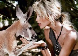 Anja Rubik khoe vẻ tươi trẻ giữa rừng nhiệt đới