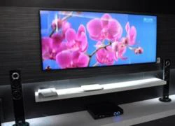 AUO ra mắt màn hình LCD 3D 21:9 lớn nhất thế giới