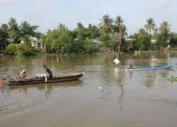 Cọc bê tông ngã đè chết người