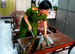 CÔN ĐỒ MIỆT VƯỜN (*): Giang hồ về phố mới