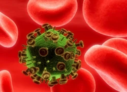 Công nghệ gen liệu có thắng HIV?