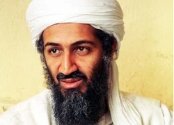 Dự án phim về bin Laden được 'bật đèn xanh'