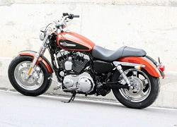 Harley Davidson XL1200C 2011 về Việt Nam