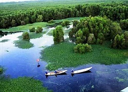 Khám phá những cánh rừng nguyên sinh trong ngày hè