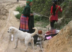 Kỳ bí chuyện đi 'săn' khuyển Mông