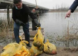 Phát hiện xác thai nhi trôi trên sông Hồng