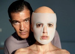 Phim dự Cannes của Antonio Banderas tung teaser