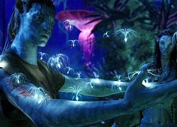 'Avatar' 2 và 3 có thể sẽ không liên quan đến phần 1