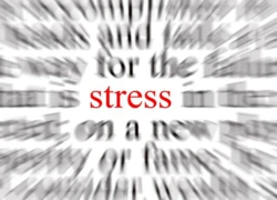 Bạn có là nạn nhân của stress?