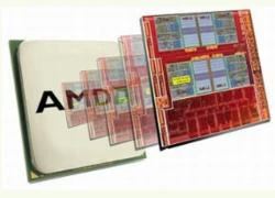 HP ra laptop dùng chip AMD Llano