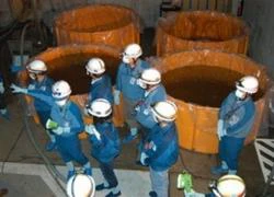 IAEA: Nhật đã đánh giá thấp thiệt hại do sóng thần