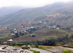 Sapa vào hạ