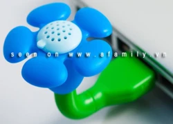 USB tỏa&#8230; hương thơm ngọt ngào