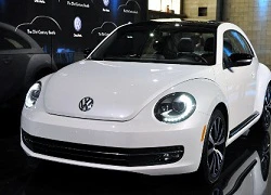 Volkswagen báo giá xe Beetle 2012