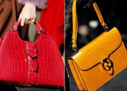 Chiêm ngưỡng BST túi xách thu đông của Gucci