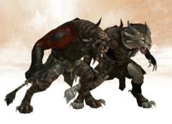 Hành trình của 'người mèo' trong Guild Wars 2