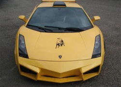 Lamborghini Gallardo 'độ' đẹp mê hồn