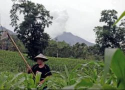 Núi lửa Indonesia thức giấc, phun khói cao 5.000m