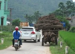 Oan nghiệt: Con trai lái công nông đè chết mẹ