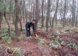 Người dân hoang mang vì bệnh lạ