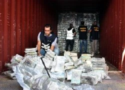 Cảnh sát Italy thu giữ một tấn cocaine trên tàu