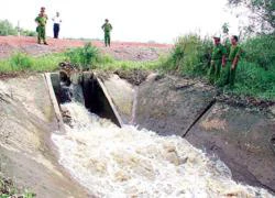 Phát hiện "Vedan thứ hai" đầu độc sông Đồng Nai