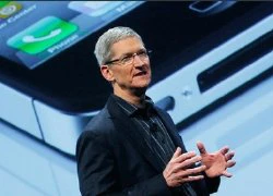 Tim Cook nhận được 384 triệu USD giá trị cổ phiếu Apple