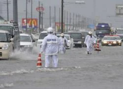 11 người chết do bão Roke