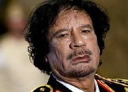 Algeria bác bỏ tin nhà lãnh đạo Gaddafi ở nước này