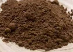 Cacao giảm tỉ lệ cholesterol trong máu