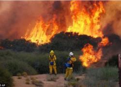 Cháy rừng dữ dội tại bang California