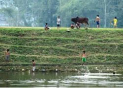 Hiểm họa trẻ chết đuối mùa mưa lũ