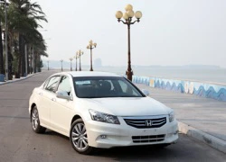 Honda Việt Nam chính thức ra mắt Accord 2.4L