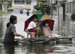 Hồng Kông "tê liệt" vì bão Nesat