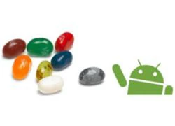 "Jelly Bean" sẽ là nền tảng kế nhiệm Ice Cream Sandwich?