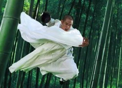 Lý Liên Kiệt trình diễn kungfu tuyệt đỉnh