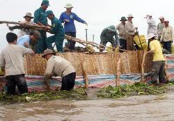 Nhiều trường học đóng cửa vì ngập lũ