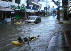 Những kẻ thích... "phá rào"