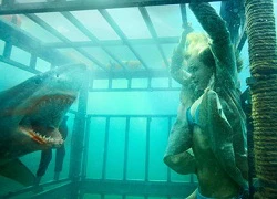 'Shark Night 3D' - 'bữa tiệc' cá mập và bikini