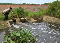 Vụ Sonadezi Long Thành xả thải bẩn: Tổng cục Môi trường còn... chờ