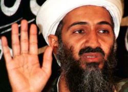 WikiLeaks: Bin Laden từng nghi ngờ mình bị lật