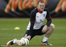 Bố Rooney bị bắt vì cá độ