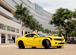 Chevrolet Camaro được phân phối chính hãng