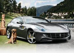 Ferrari FF Neiman Marcus Chinh phục thử thách