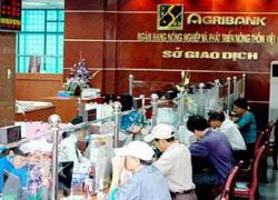 Khởi tố 10 cán bộ của Agribank Bà Rịa-Vũng Tàu