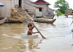 Lũ lớn đang tàn phá các vựa lúa của châu Á