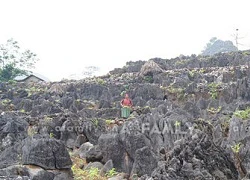 Miếu thờ tình yêu trên cao nguyên đá