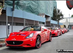 Ngày hội Ferrari trên đường phố Mỹ